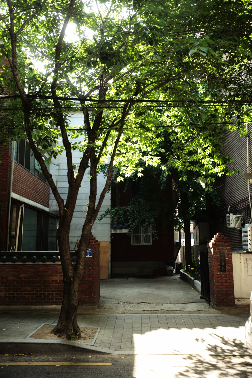 앤트러사이트 합정점 방문 사진 1